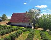 BALATON-FELVIDÉKI HÁZ BALATONI PANORÁMÁVAL, FELSŐÖRSÖN A TERMÉSZET OLDALÁN