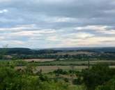 Mezőgazdasági terület ELADÓ Balatonszőlősön