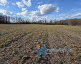 Eladó telek/földterület Alsópáhok 8 500 000 Ft