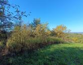 Eladó üdülő/nyaraló Újudvar 2 800 000 Ft