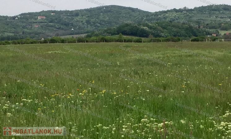 Falu széli mezőgazdasági terület