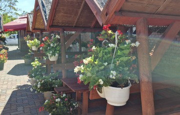 Eladó vendéglátó egység