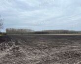 Eladó telek/földterület Dánszentmiklós 58 000 000 Ft