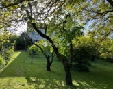 Eladó családi ház Pécs 89 900 000 Ft