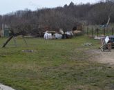 Bővítésre is alkalmas kicsi ház, nagyot álmodóknak!