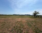 Panorámás SZŐLŐBIRTOK Balatonfüred és Aszófő között eladó