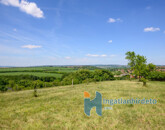 Eladó telek/földterület Telki 490 000 000 Ft