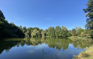 Kiadó családi ház