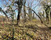 Eladó telek/földterület Dömsöd 4 400 000 Ft