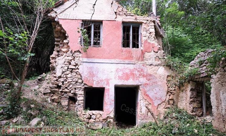 Erdő közepén -eladó LAKÓHÁZ és GAZDASÁGI ÉPÜLET PÉCSELYEN                                 