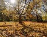 Eladó családi ház Bánhorváti 2 400 000 Euro