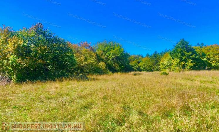 Érintetlen természeti környezetben mezőgazdasági terület eladó                                 