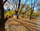 Eladó lakás Budapest XIII. ker 89 000 000 Ft