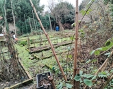 Eladó családi ház Vác 98 000 000 Ft