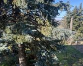 Eladó családi ház Cserszegtomaj 47 000 000 Ft