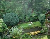 Ősfás birtok saját patakkal az erdő, a Nemzeti Park közepén