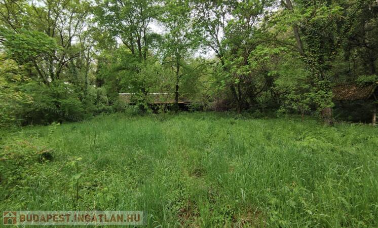 Különeleges lehetőség                                 