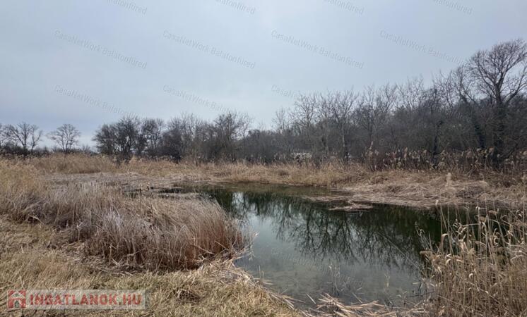 Izolált zöld környezetben nagy terület
