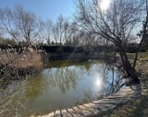 Eladó családi ház Jobaháza 103 500 000 Ft