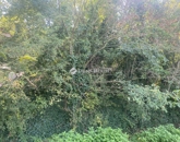 Eladó telek/földterület Dömsöd 4 000 000 Ft