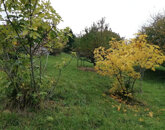 Eladó telek/földterület Zalaegerszeg 10 000 000 Ft