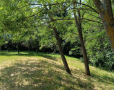 Eladó telek/földterület Zalakaros 7 900 000 Ft