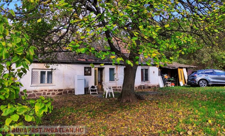 Balatonalmádi tetején                                 