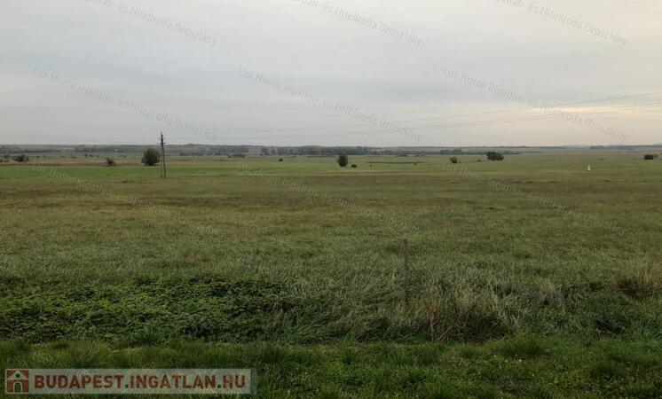 Eladó 11173 m2-es külterület Csákváron                                 