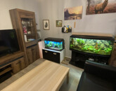 Eladó családi ház Csévharaszt 63 000 000 Ft