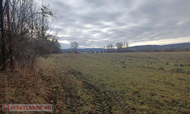 Pusztavám belterületén frissen kialakított építési telkek eladók