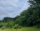 Levendula ültetvény a Balaton-felvidéken