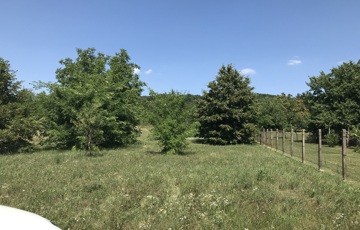 Eladó telek/földterület