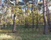 Eladó telek/földterület Papkeszi 1 900 000 Ft