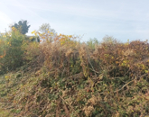 Eladó telek/földterület Zalabér 2 500 000 Ft