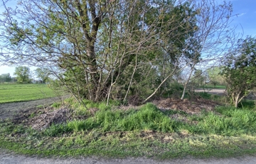 Eladó telek/földterület