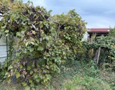 Eladó családi ház Budapest XVIII. ker 79 900 000 Ft