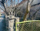 Hatalmas építési telek eladó Ács szívében,1814 nm lehetőség a Fő úton!