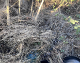 Eladó telek/földterület Hajdúszoboszló 99 000 000 Ft