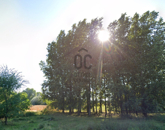 Eladó telek/földterület Téglás 2 275 000 000 Ft