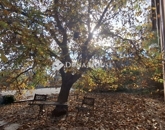 Eladó családi ház Pécs 115 000 000 Ft