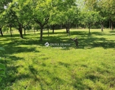 Eladó családi ház Harkány 15 000 000 Ft