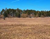 Gazdálkodásra, állattartásra alkalmas mezőgazdasági terület Barnagon