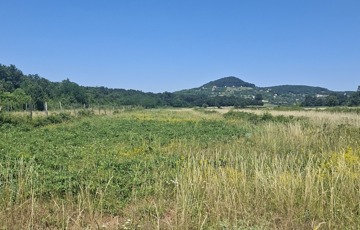 Eladó telek/földterület