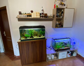 Eladó családi ház Vasad 59 800 000 Ft