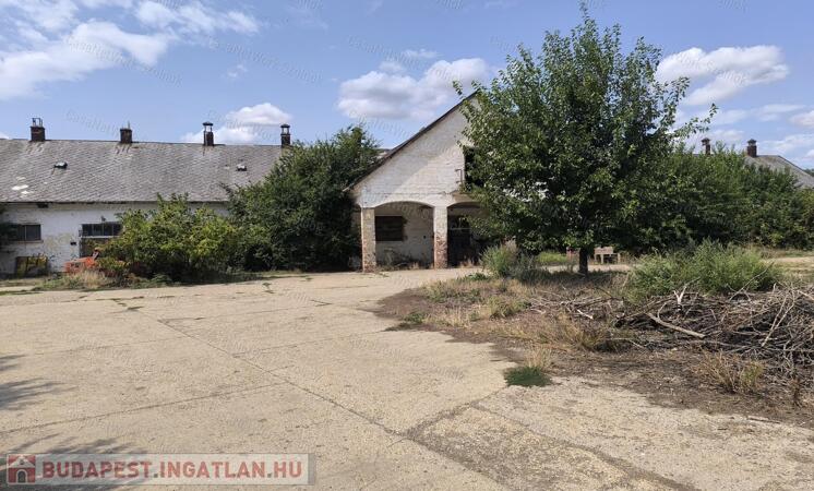 Rákóczifalvai 65000m2-es Majorság eladó!                                 