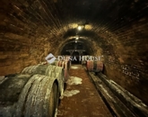 Eladó vendéglátó egység Villány 54 900 000 Ft