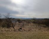 Oroszlányon belterületi építési telek eladó!