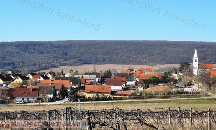 PANORÁMÁS TERÜLET - eladó SZŐLŐ TERÜLET SZENTANTALFÁN                                 