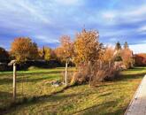 Családi házas környezetben-eladó ÉPÍTÉSI TELEK NAGYVÁZSONYBAN