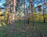 Eladó telek/földterület Papkeszi 1 900 000 Ft